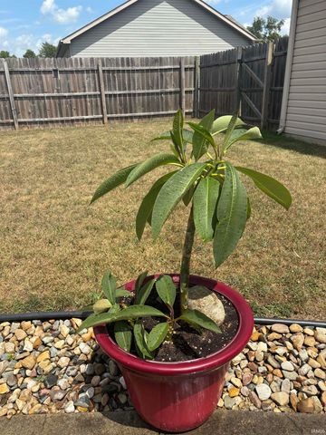 1009 Mallard Drive, Bristol, IN 46507