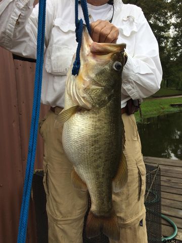 20489 W Grove Club Lake Rd., Whitehouse, TX 75791
