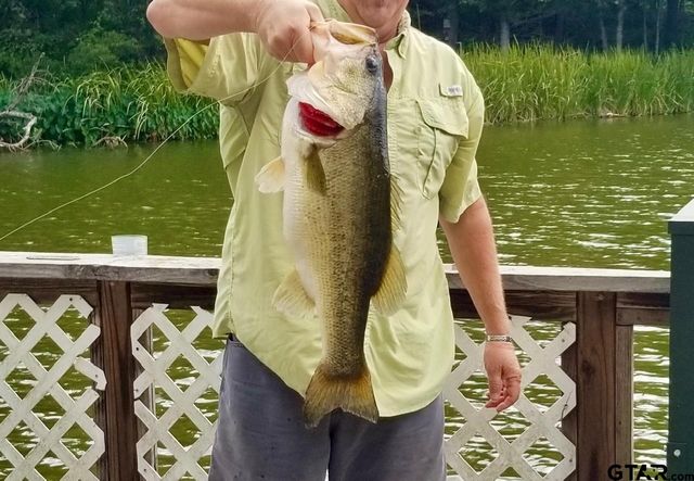 20489 W Grove Club Lake Rd., Whitehouse, TX 75791