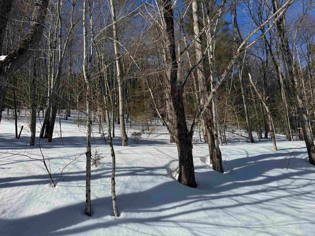 Image 46 of property listing at 65 Bentley Lane, Jericho, VT 05465