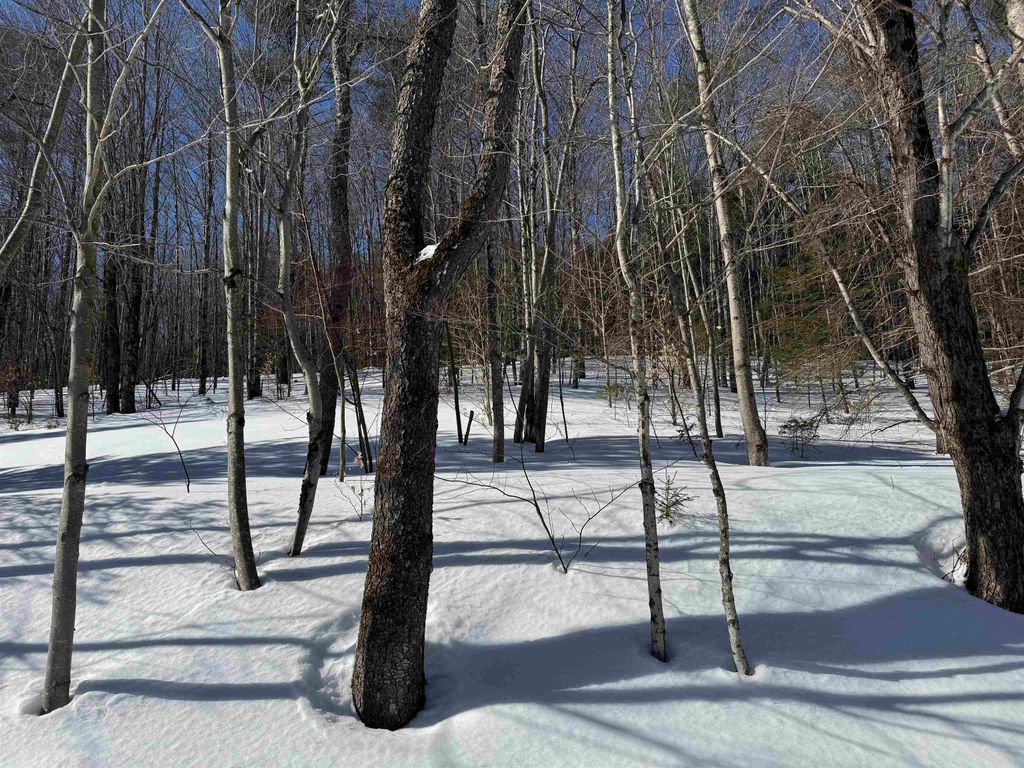 Image 48 of property listing at 65 Bentley Lane, Jericho, VT 05465