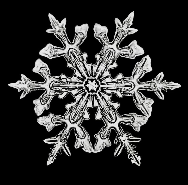 Image 60 of property listing at 65 Bentley Lane, Jericho, VT 05465