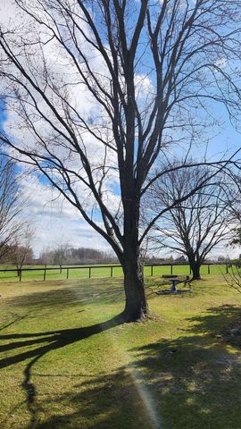 5232 Brackett Road, Williamsburg, MI 49690