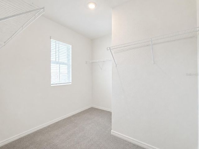 16091 BALBOA MIST COURT, Odessa, FL 33556