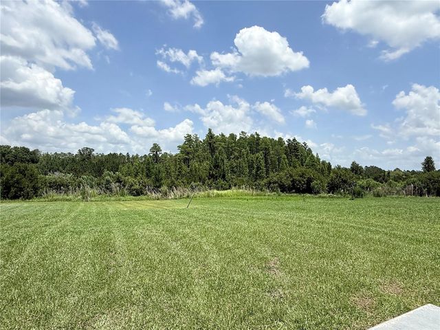 16091 BALBOA MIST COURT, Odessa, FL 33556