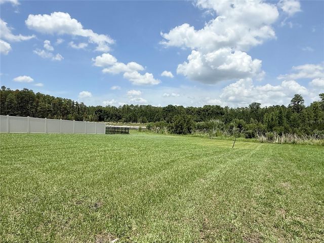16091 BALBOA MIST COURT, Odessa, FL 33556