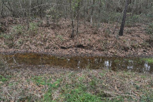 Beechwood Street, Pass Christian, MS 39571