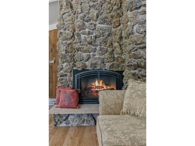1125 Deerpath Rd, Franktown, CO 80116