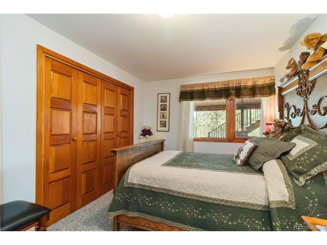 1125 Deerpath Rd, Franktown, CO 80116