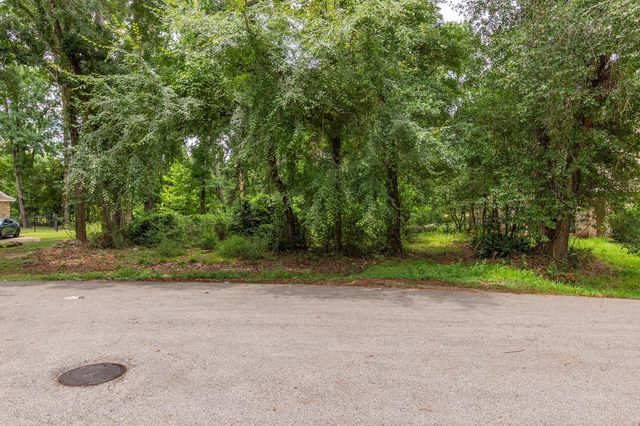 135 Jeb Stuart Lane, Conroe, TX 77302