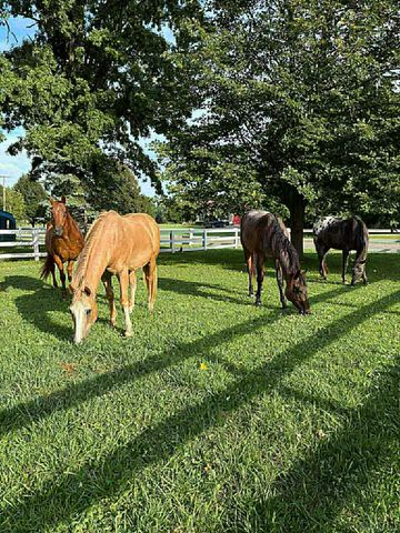 8020 Linden Drive, Almont Twp, MI 48003