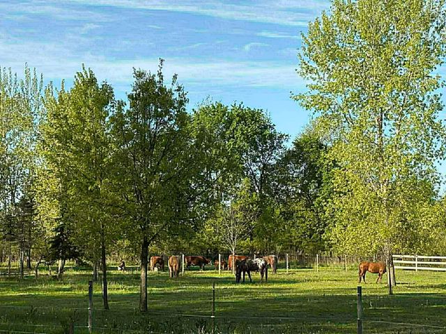 8020 Linden Drive, Almont Twp, MI 48003