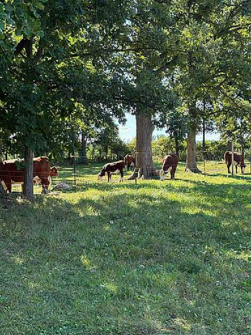 8020 Linden Drive, Almont Twp, MI 48003