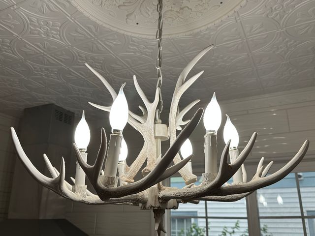 3515 Union Avenue, Steger, IL 60475