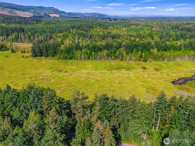 0 Bald Hills Road, Yelm, WA 98597