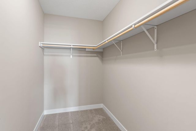 XXX1 155th Ave NE, Ham Lake, MN 55304