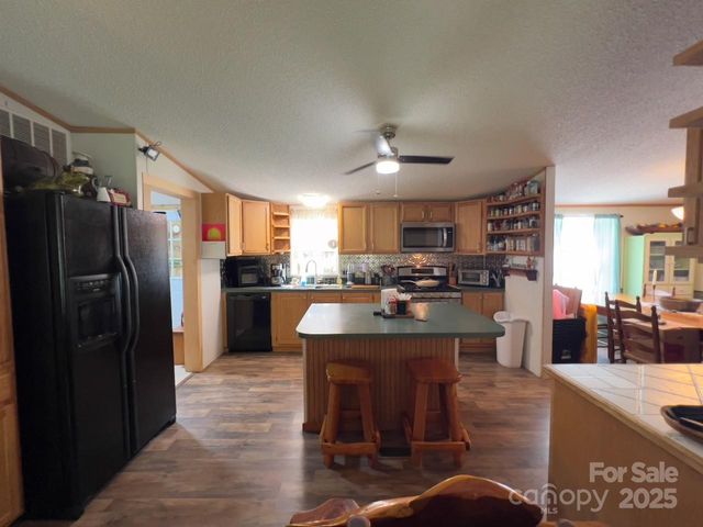 800 Turkey Pen Gap Road, Horse Shoe, NC 28742