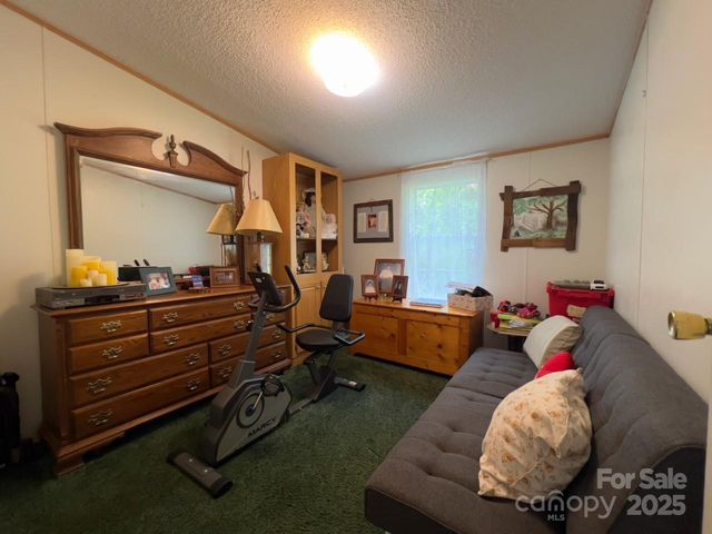 800 Turkey Pen Gap Road, Horse Shoe, NC 28742