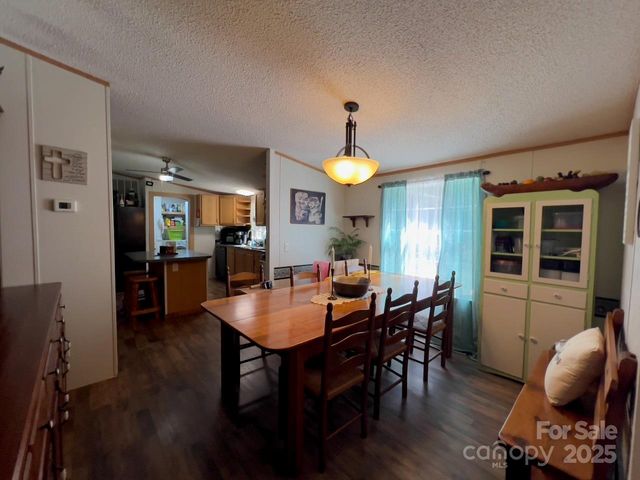 800 Turkey Pen Gap Road, Horse Shoe, NC 28742