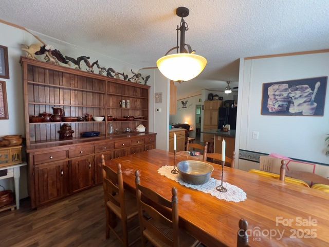 800 Turkey Pen Gap Road, Horse Shoe, NC 28742