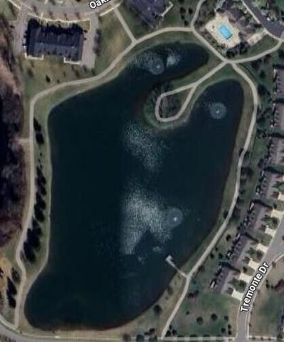 57259 Windmill Pointe, New Hudson, MI 48165