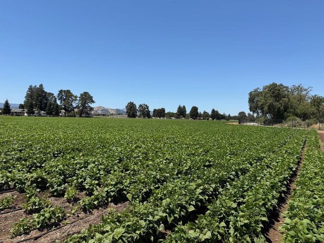 835-13-033 Buena Vista Ave, Gilroy, CA 95020