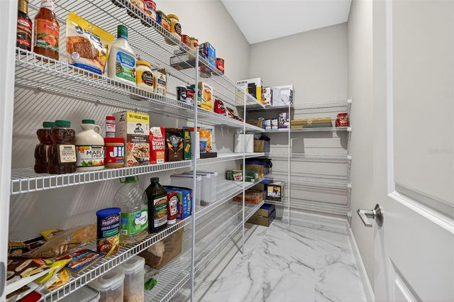 33825 OCEAN SPRAY LANE, Wesley Chapel, FL 33543