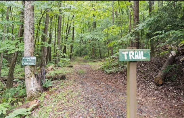 27 Laurel Lane, Ellijay, GA 30536