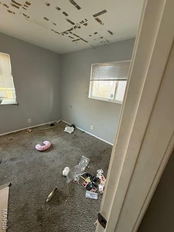 1219 Sullivan Avenue, St Louis, MO 63107