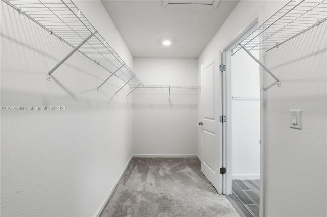 9852 Lemon Balm Way, Jacksonville, FL 32219