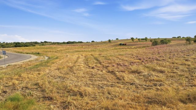 3201 Lucky Pepper Drive, Cresson, TX 76035