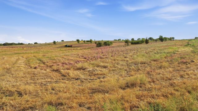 3201 Lucky Pepper Drive, Cresson, TX 76035