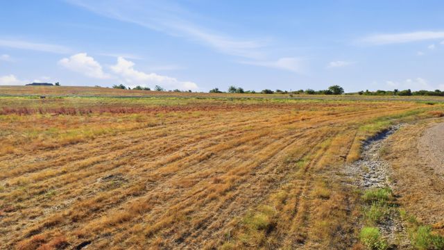 3201 Lucky Pepper Drive, Cresson, TX 76035