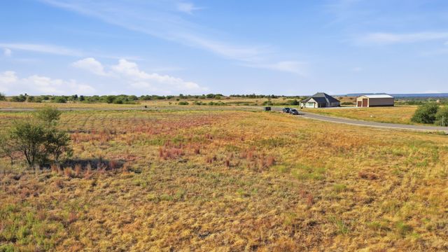 3201 Lucky Pepper Drive, Cresson, TX 76035