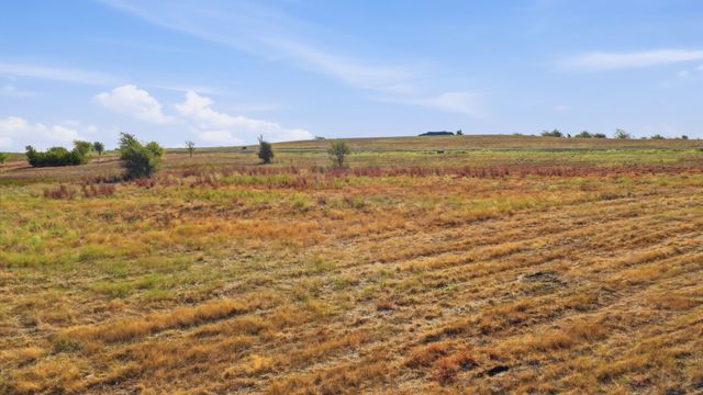 3201 Lucky Pepper Drive, Cresson, TX 76035