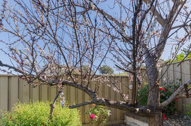 27312 Bavella Way, Salinas, CA 93908