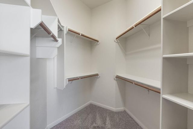 3703 Stevens Creek Court, College Station, TX 77845