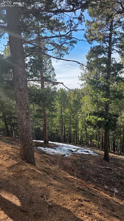 307 Tillicum Trail, Woodland Park, CO 80863 — exterior