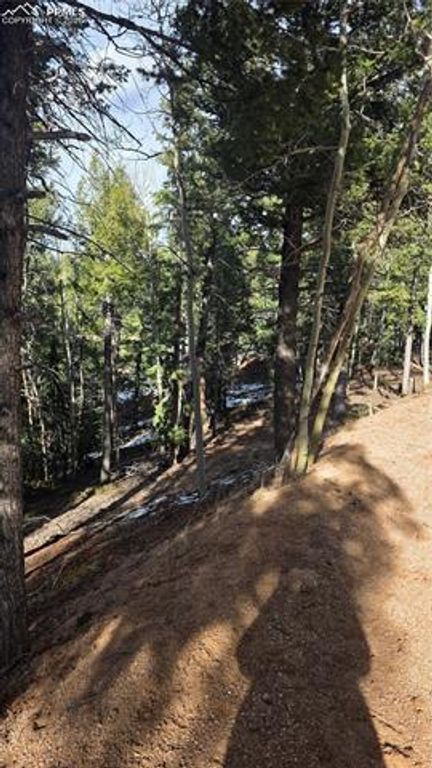 307 Tillicum Trail, Woodland Park, CO 80863 — photo 4