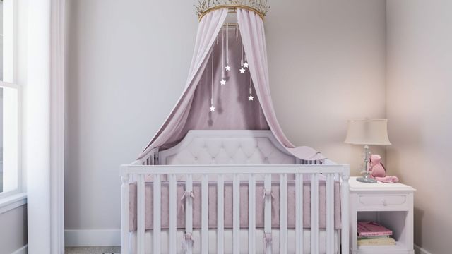 2507 Prairie Willow Lane, Mansfield, TX 76063