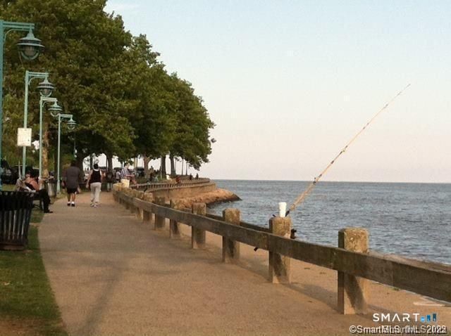 113 Ellsworth Street, Bridgeport, CT 06605