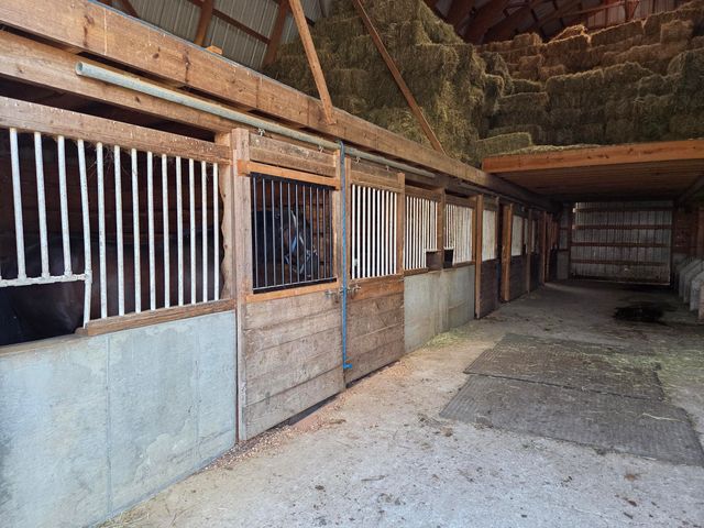 3557 Mill Creek Road, Owingsville, KY 40360