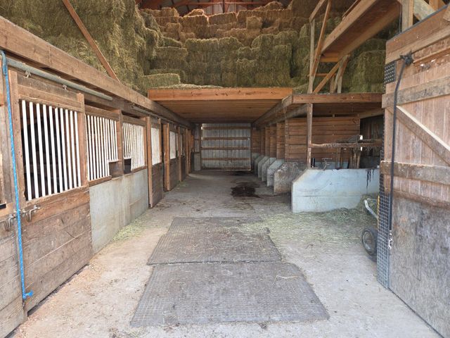 3557 Mill Creek Road, Owingsville, KY 40360