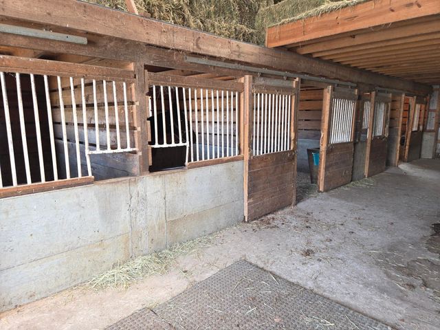 3557 Mill Creek Road, Owingsville, KY 40360