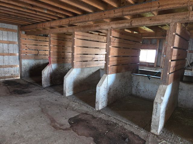 3557 Mill Creek Road, Owingsville, KY 40360