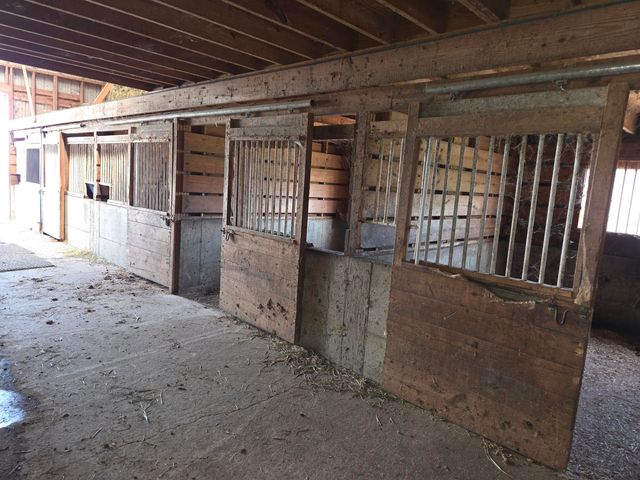 3557 Mill Creek Road, Owingsville, KY 40360