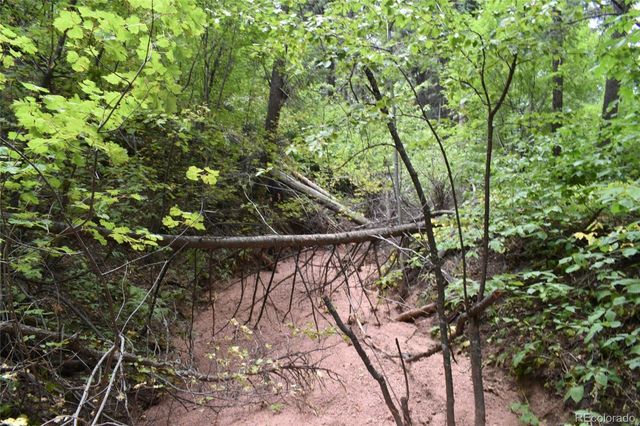 13371 Spruce Creek Circle, Larkspur, CO 80118