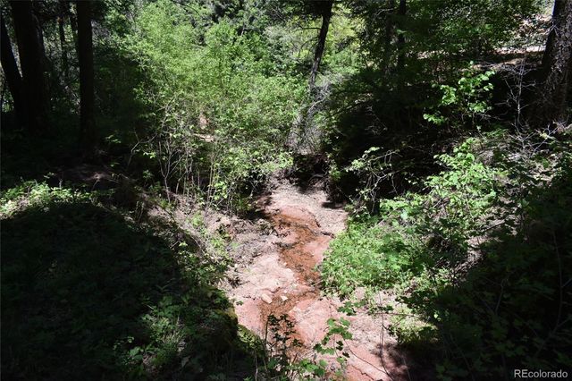 13371 Spruce Creek Circle, Larkspur, CO 80118