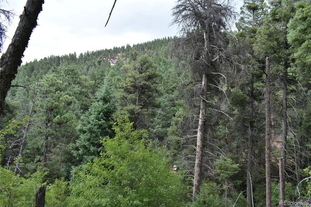 13371 Spruce Creek Circle, Larkspur, CO 80118