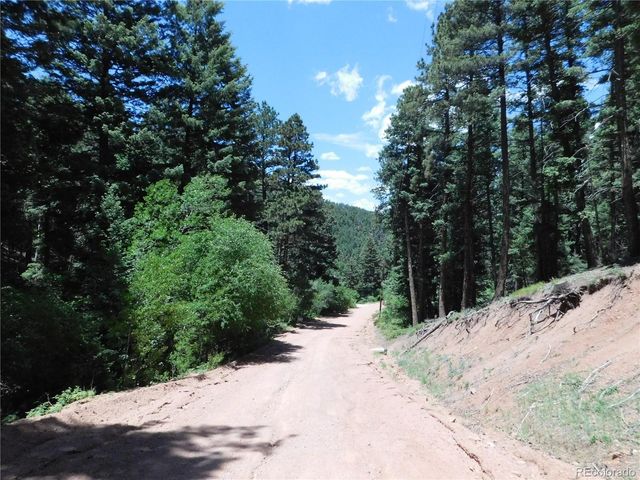 13371 Spruce Creek Circle, Larkspur, CO 80118